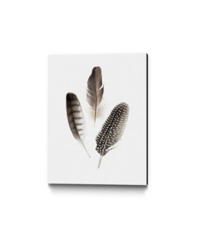 Giant Art 32" X 24" Feathers I Museum Mounted Canvas Print In Brown