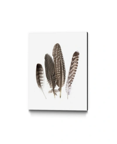 Giant Art 40" X 30" Feathers Ii Museum Mounted Canvas Print In Brown