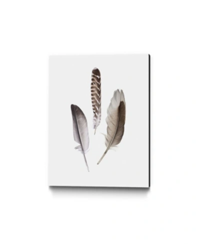 Giant Art 20" X 16" Feathers Iii Museum Mounted Canvas Print In Brown
