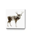 GIANT ART 20" X 20" STAG MUSEUM MOUNTED CANVAS PRINT