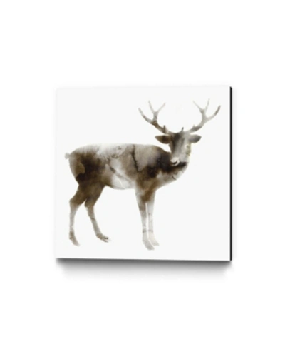 Giant Art 20" X 20" Stag Museum Mounted Canvas Print In Brown