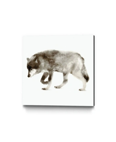 Giant Art 20" X 20" Wolf Museum Mounted Canvas Print In Brown