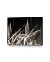 Giant Art 20" X 16" Chiffon Light Sculpture Museum Mounted Canvas Print In Yellow