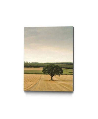 Giant Art 24" X 18" Lone Tree In An Autumn Field Museum Mounted Canvas Print In Yellow