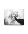 Giant Art 40" X 30" Robel In Black