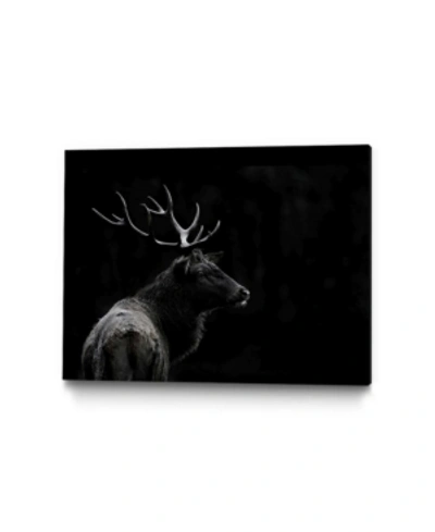Giant Art 28" X 22" The Deer Soul Museum Mounted Canvas Print In Black