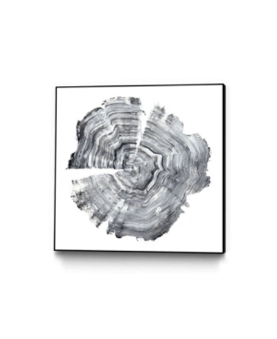 Giant Art 20" X 20" Tree Ring Abstract Iv Art Block Framed Canvas In Black