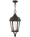 Livex Morgan 2-light Pendant In Bronze
