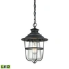 ELK LIGHTING SAN MATEO 1 LIGHT OUTDOOR PENDANT IN TEXTURED MATTE BLACK WITH CLEAR SEEDY GLASS