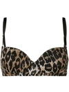 DOLCE & GABBANA LEOPARD-PRINT BRA