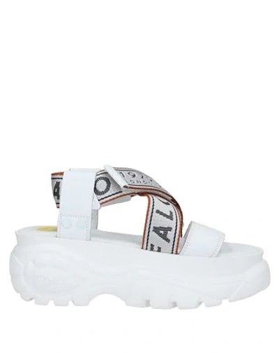 Buffalo Logo Sandals In White