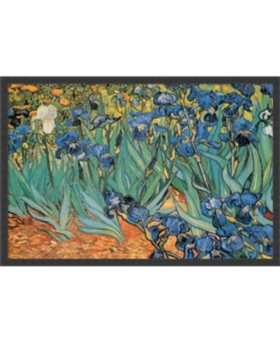 Amanti Art Garden Of Irises By Vincent Van Gogh- Framed Art Print