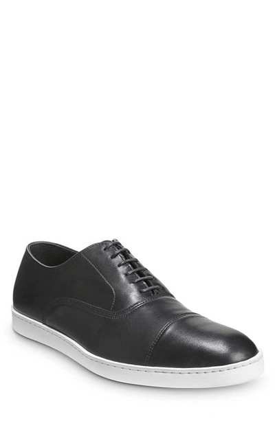 Allen Edmonds Park Sneaker In Black Leather