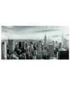 Empire Art Direct My New York Frameless Free Floating Tempered Art Glass Wall Art By Ead Art Coop, 36" X 72" X 0.2" In Gray