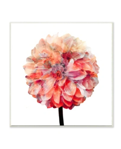 Stupell Industries Bright Coral Watercolor Bloom Dahlia Flower Wall Plaque Art, 12" L X 12" H In Multi