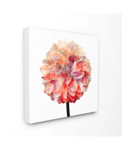 Stupell Industries Bright Coral Watercolor Bloom Dahlia Flower Canvas Wall Art, 30" L X 30" H In Multi