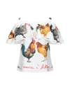 Dolce & Gabbana Blouses In White