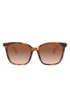 Valentino Rockstud 57mm Gradient Square Sunglasses In Havana
