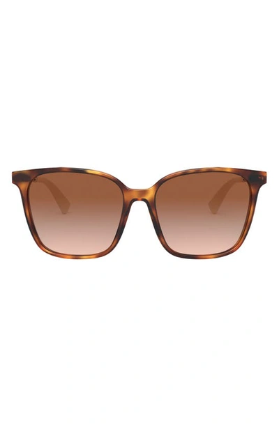 Valentino Rockstud 57mm Gradient Square Sunglasses In Havana