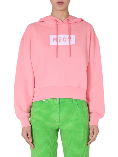 Msgm Logo Print Cotton Hoodie In Pink