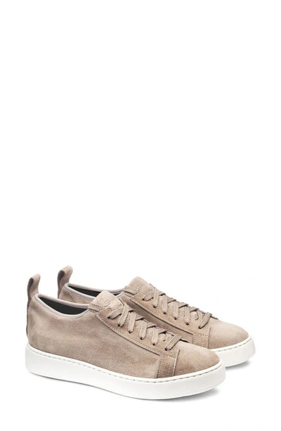 Santoni Clean Icon Stretch Suede Low-top Sneakers In Taupe