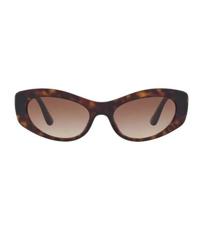 Dolce & Gabbana 53mm Cat Eye Sunglasses In Havana