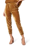 CUPCAKES AND CASHMERE MILO VELOUR JOGGERS,CK403833