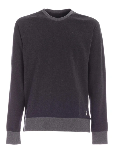 Polo Ralph Lauren Crewneck Sweatshirt In Grey