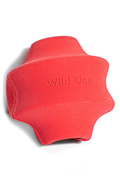 Wild One Sphericon Dog Toy In Red