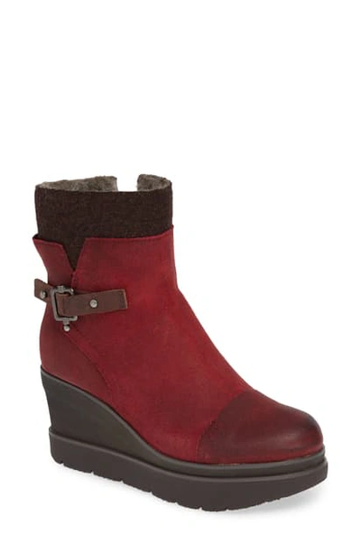 Otbt Descend Bootie In Wine Leather