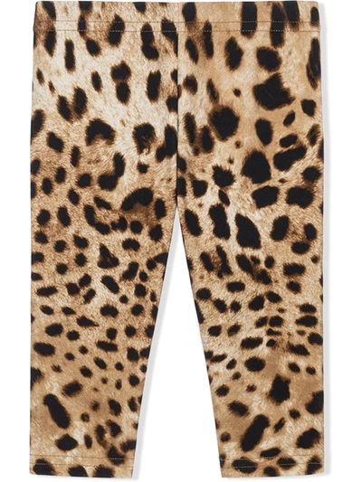 Dolce & Gabbana Babies' Interlock Leggings With Leopard Print In Animal Print