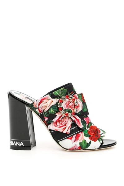 Dolce & Gabbana Floral Print Mules In Black,pink,red