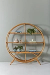 ANTHROPOLOGIE IRVING BOOKCASE,49395304