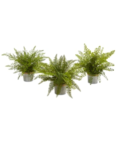 NEARLY NATURAL 14'' ASSORTED FERNS WITH PLANTER ARTIFICIAL PLANT, SET OF 3