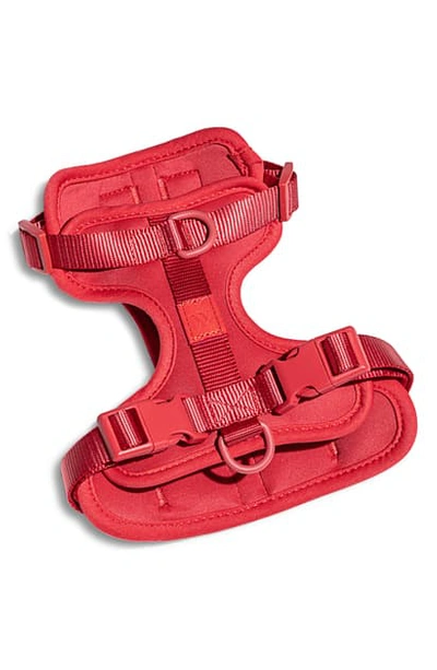 Wild One Dog Harness In Red