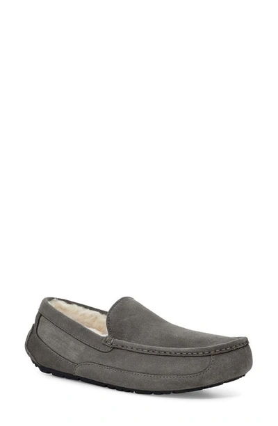 Ugg Ascot 绒面皮拖鞋 In Charcoal