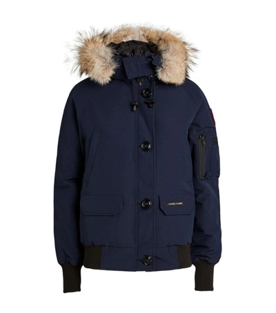 Canada Goose Chilliwack Hooded Down Bomber Jacket With Genuine Coyote Fur Trim In Atlantic Navy