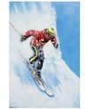 Empire Art Direct Skiing Mixed Media Iron Hand Painted Dimensional Wall Art, 48" X 32" X 2.6" In Multi