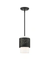 Livex Noria 1 Light Pendant In Black