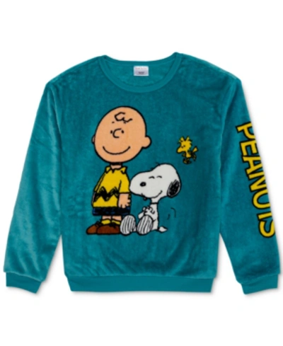 Peanuts Plush Charlie Brown Graphic Sweatshirt In Green