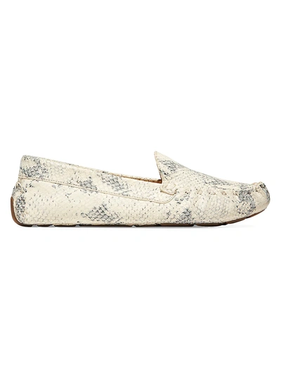 Cole Haan Women's Evelyn Snakeskin-embossed Leather Loafers In White