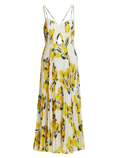 Amur Lucy Floral Maxi Dress In White Multi