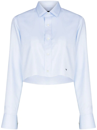 Hommegirls X Browns 50 Cropped Cotton Shirt In Blue