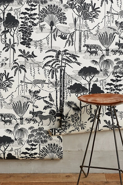 Aimee Wilder Jungle Dream Wallpaper In Black