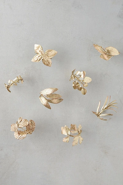 Terrain Herb Garden Napkin Rings, Set Of 8 In Gold