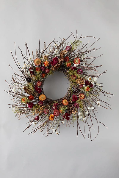 Terrain Birch + Preserved Ammobium Wreath In Purple