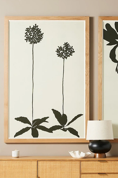 Susan Hable For Soicher Marin Allium Wall Art In Black