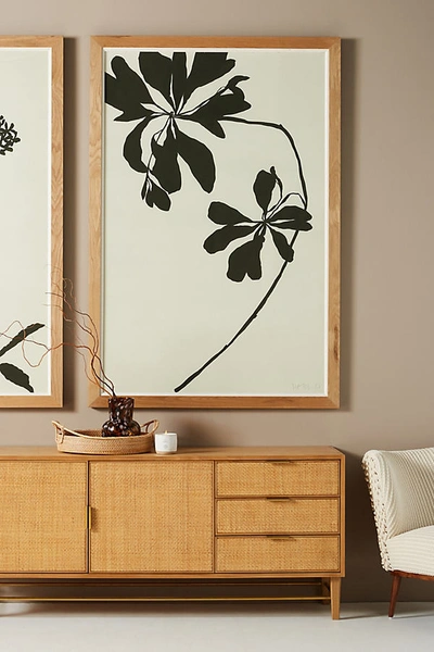 Susan Hable For Soicher Marin Mediterranean Leaf Wall Art In Black