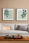 Susan Hable For Soicher Marin Climber Wall Art In Assorted