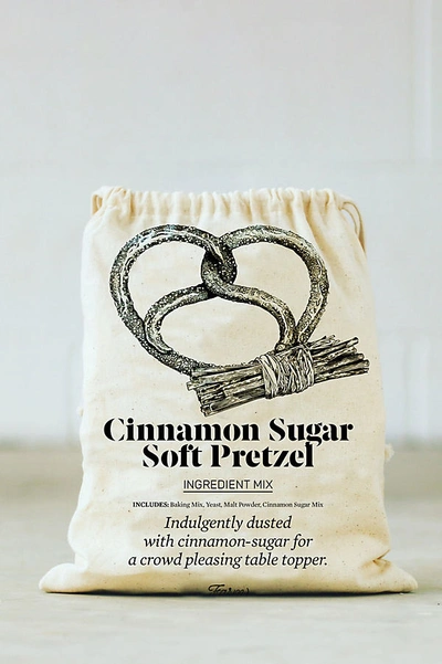 Terrain Cinnamon Sugar Soft Pretzel Baking Mix In Assorted